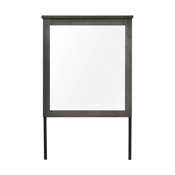 Lenior Mirror in Gray - 1342-6