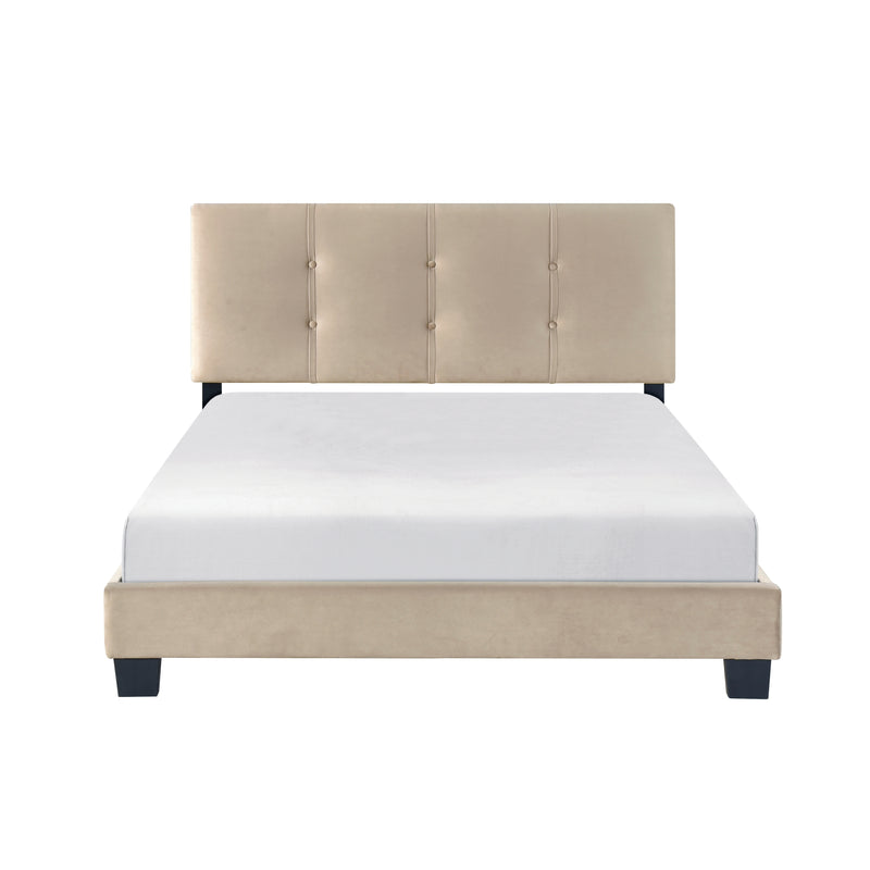 Newberry Full Platform Bed in Brown - 1350BRF-1