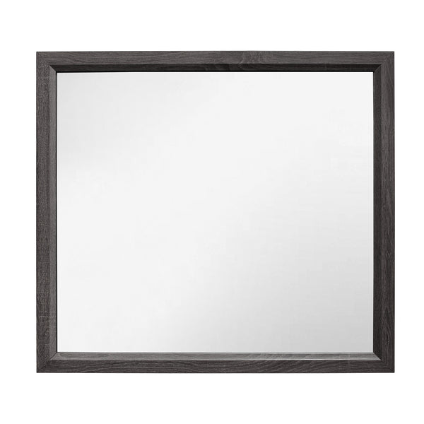 Davi MIRROR in Gray - 1645-6
