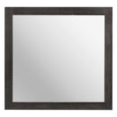 Cooper Mirror in Brown/Gray/Multi - 2059-6