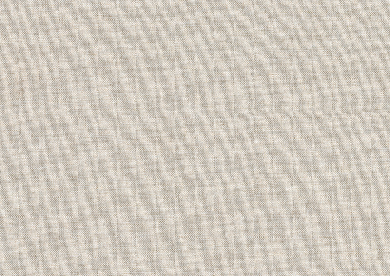 Trudy Daybed with Trundle in Beige - 4987BE