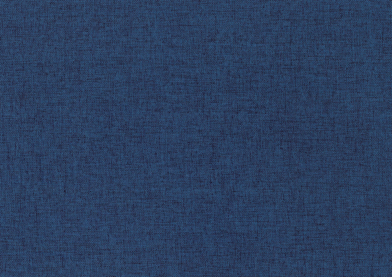 Trudy Daybed with Trundle in Blue - 4987BU