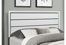 Kate Bed Group