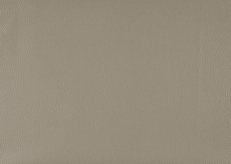 Lewes Sofa in Beige - 8566LTE-3