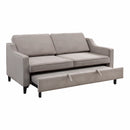 Adelia Convertible Studio Sofa With Pull-Out Bed
