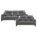 Mischa 2pc Set: Sofa, Love in Gray - 9514DGY*2