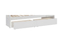 Galen Storage Boxes in White - B2053W-T
