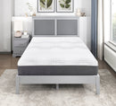 Findlay 12" Green Tea Gel-Infused Memory Foam Hybrid Mattress