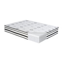 Vela 12" Hybrid Mattress